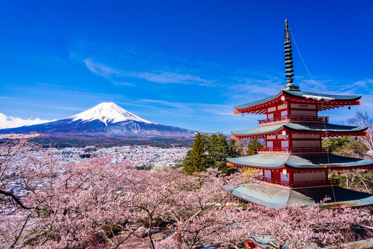 This iconic image of springtime cherry blossoms, the Chūreitō pagoda, and Mount Fuji has been shared worldwide on social media. (© Pixta)