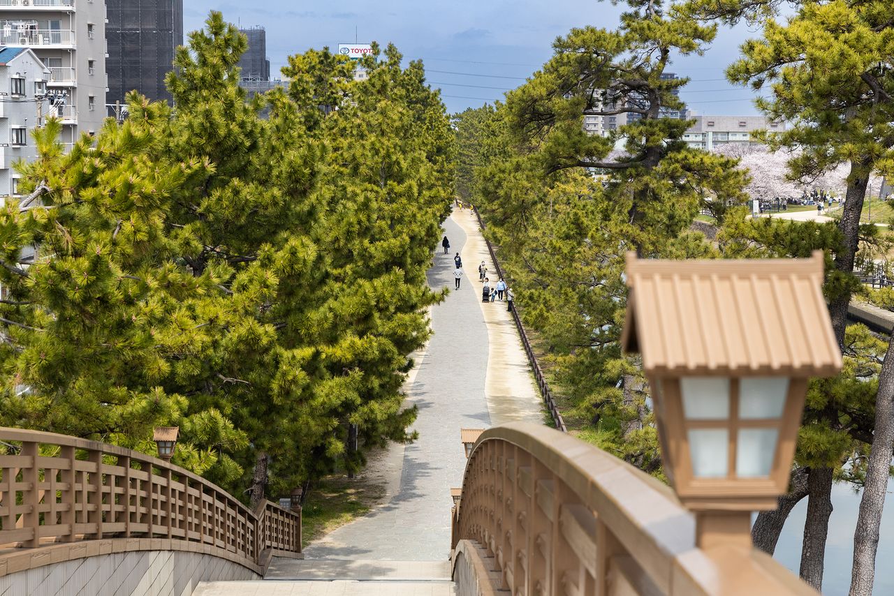 Pines line a path along the Ayase River. Several arched bridges called taikobashi add to the timeless atmosphere.