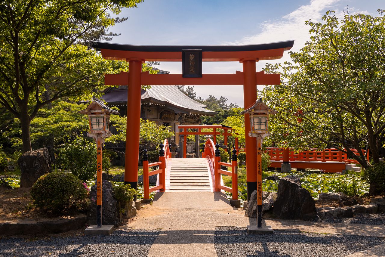 The senbon torii starts at the Ryūjingū, the shrine to the dragon god.