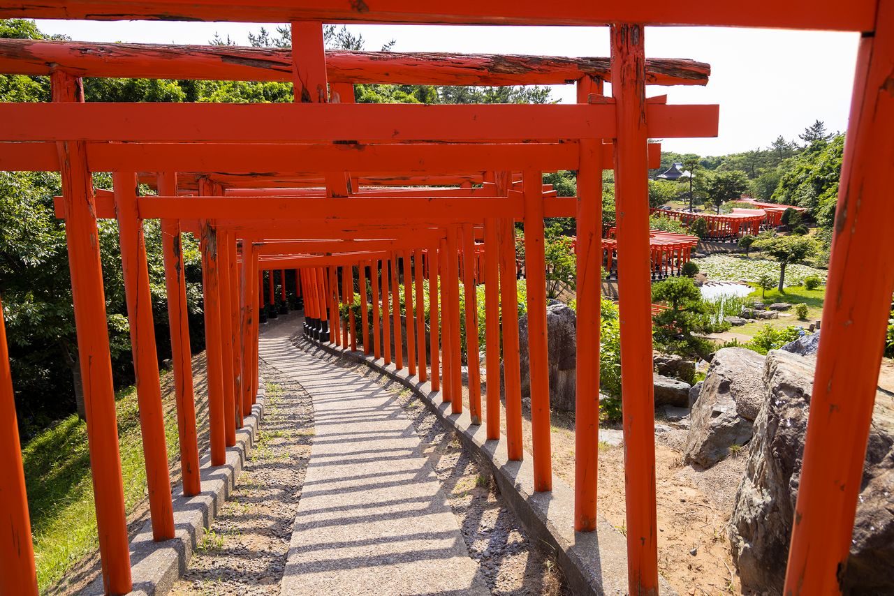 A tunnel of vermillion torii. The gates are protected from the elements by a coat of weatherproof paint.
