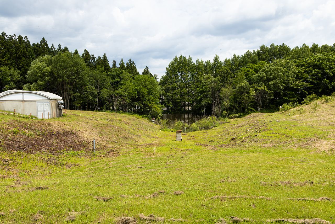 The Kitanotani midden. Cool, wet soil conditions at the garbage mound aided in preservation of artifacts. Excavation of the midden uncovered refuse of domestic life like lacquerware, wooden utensils, nuts and seeds, and animal and fish bones.