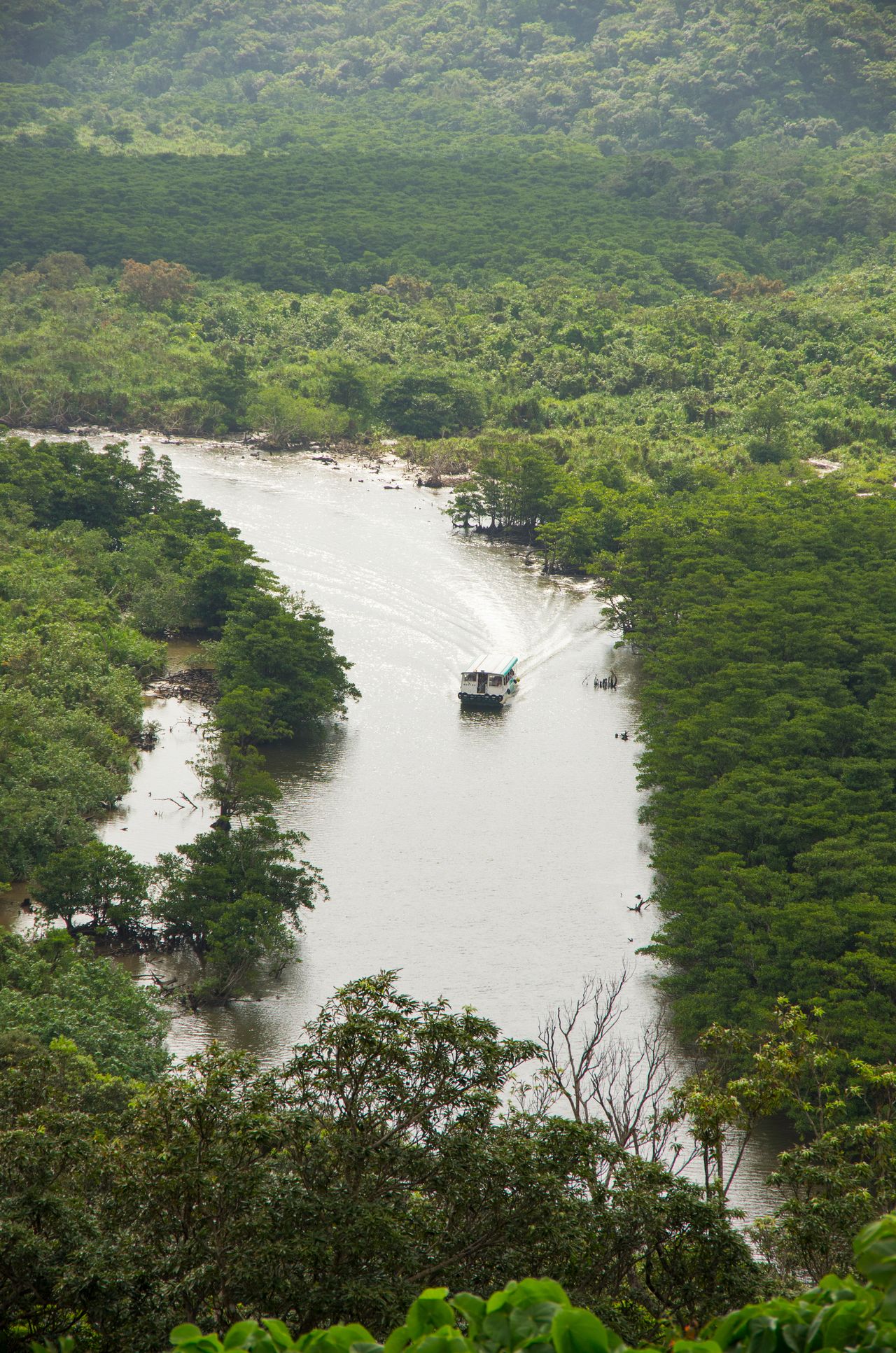 A cruise on the Nakama River beside the mangrove forest. (Courtesy OCVB)