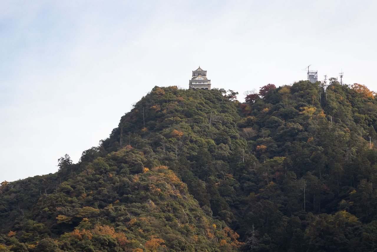 Gifu Castle atop 329-meter tall Mount Kinka. The main tower of the keep was rebuilt with modern materials in 1956.