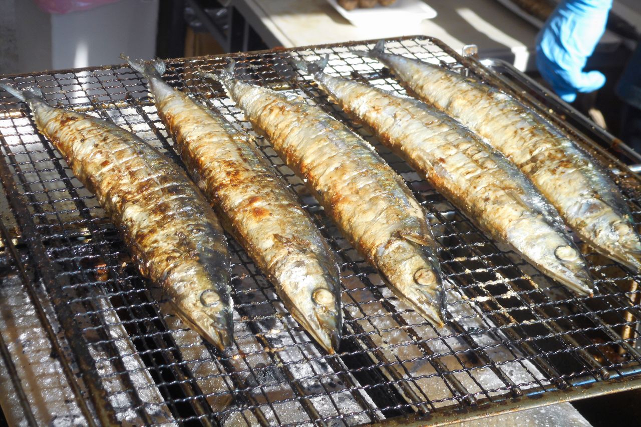Salt-grilled sanma—once a staple in Japanese homes—is becoming less common. (© Kawamoto Daigo)