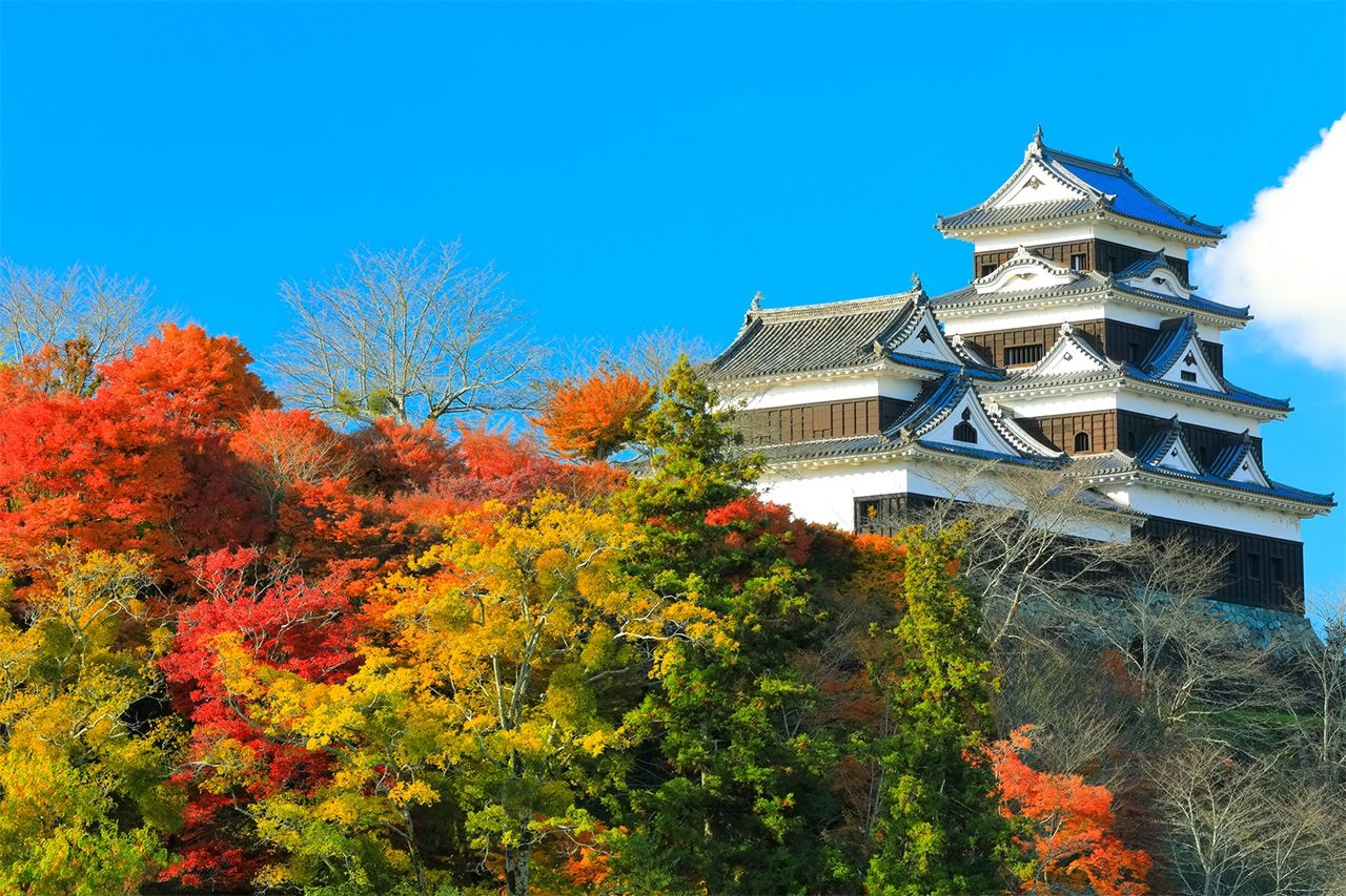 Beautiful Ōzu Castle. (© Pixta)