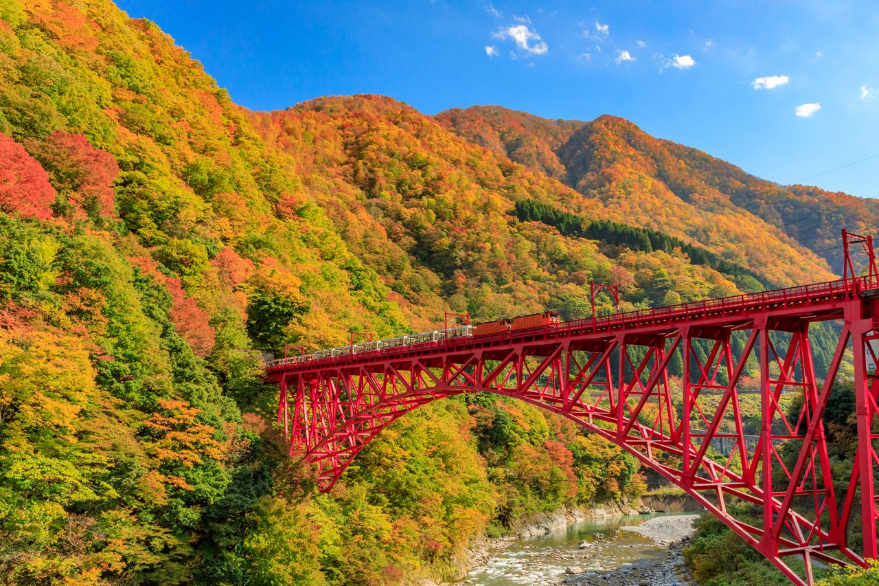 Autumn colors contrast with the red of the Kurobe Gorge Railway’s Shin-Yamabiko Bridge. (© Pixta)