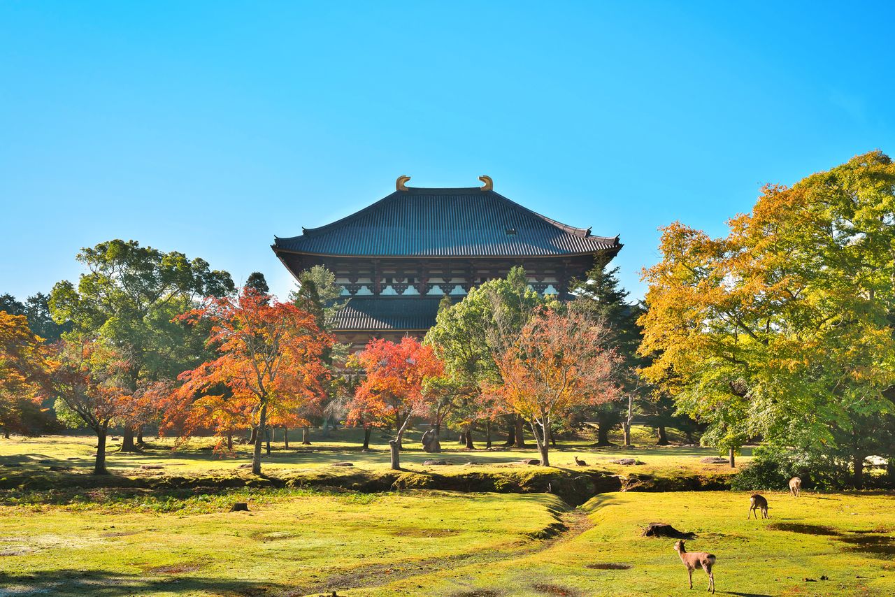 The site of the Kōdō and Daibutsuden Hall surrounded by autumn colors. (© Pixta)