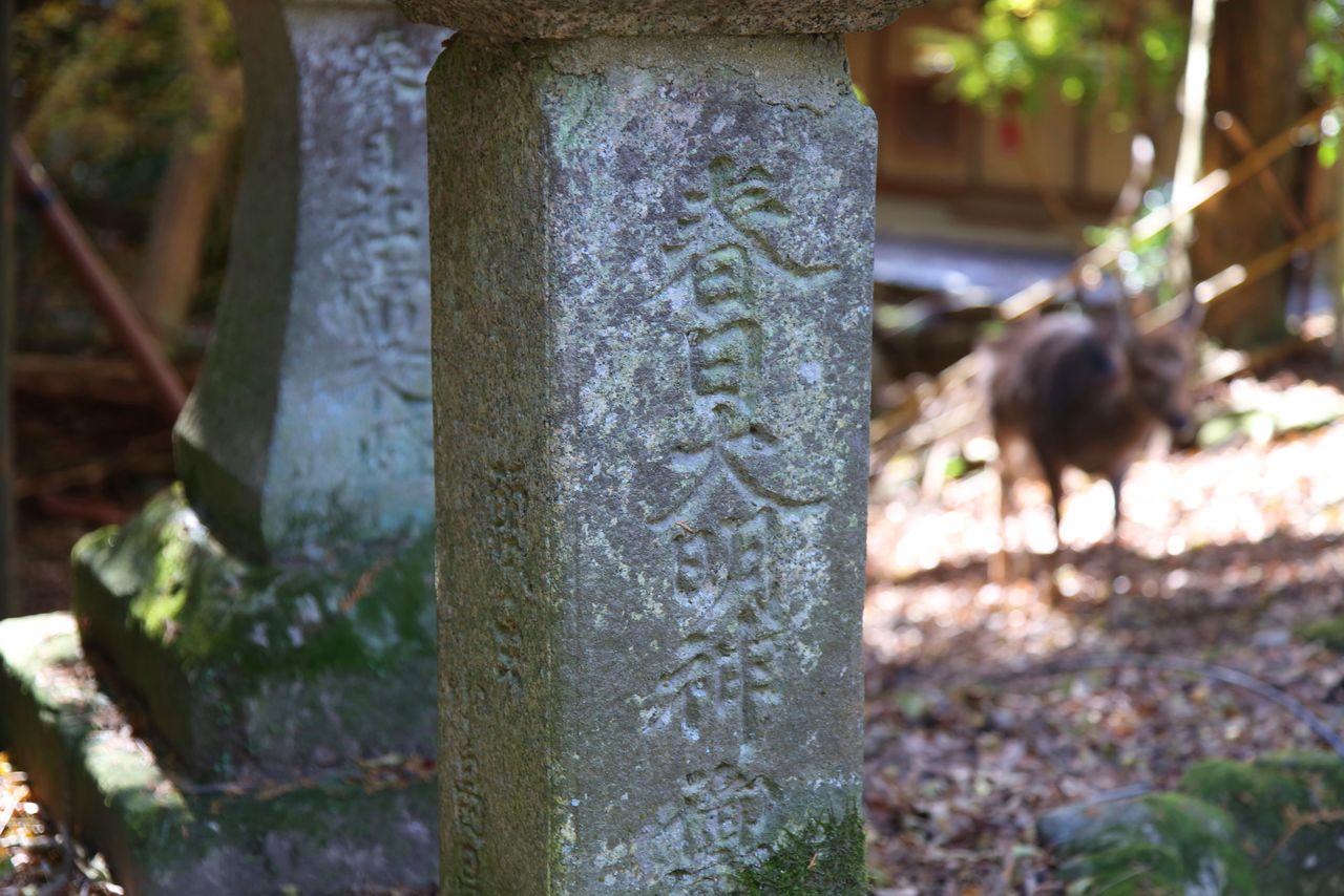 One of a handful of stone lanterns carved with the name Kasuga Daimyōjin. The four primary divine beings of Kasuga Taisha are often grouped together as a syncretic, combined deity known as Kasuga Daimyōjin.