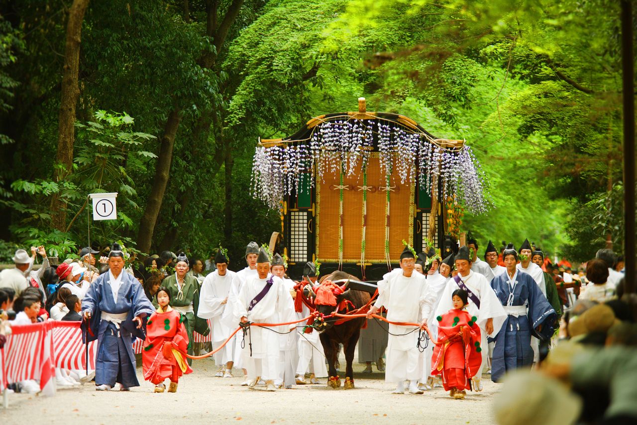 Twigs from katsura trees and heart-shaped leaves of the futaba-aoi decorate the hair of the saiō-dai and the clothing of procession participants. Paid spectator seating is available along the procession route at the Kyoto Imperial Palace and the approach to the shrines. (© Edit Plus)