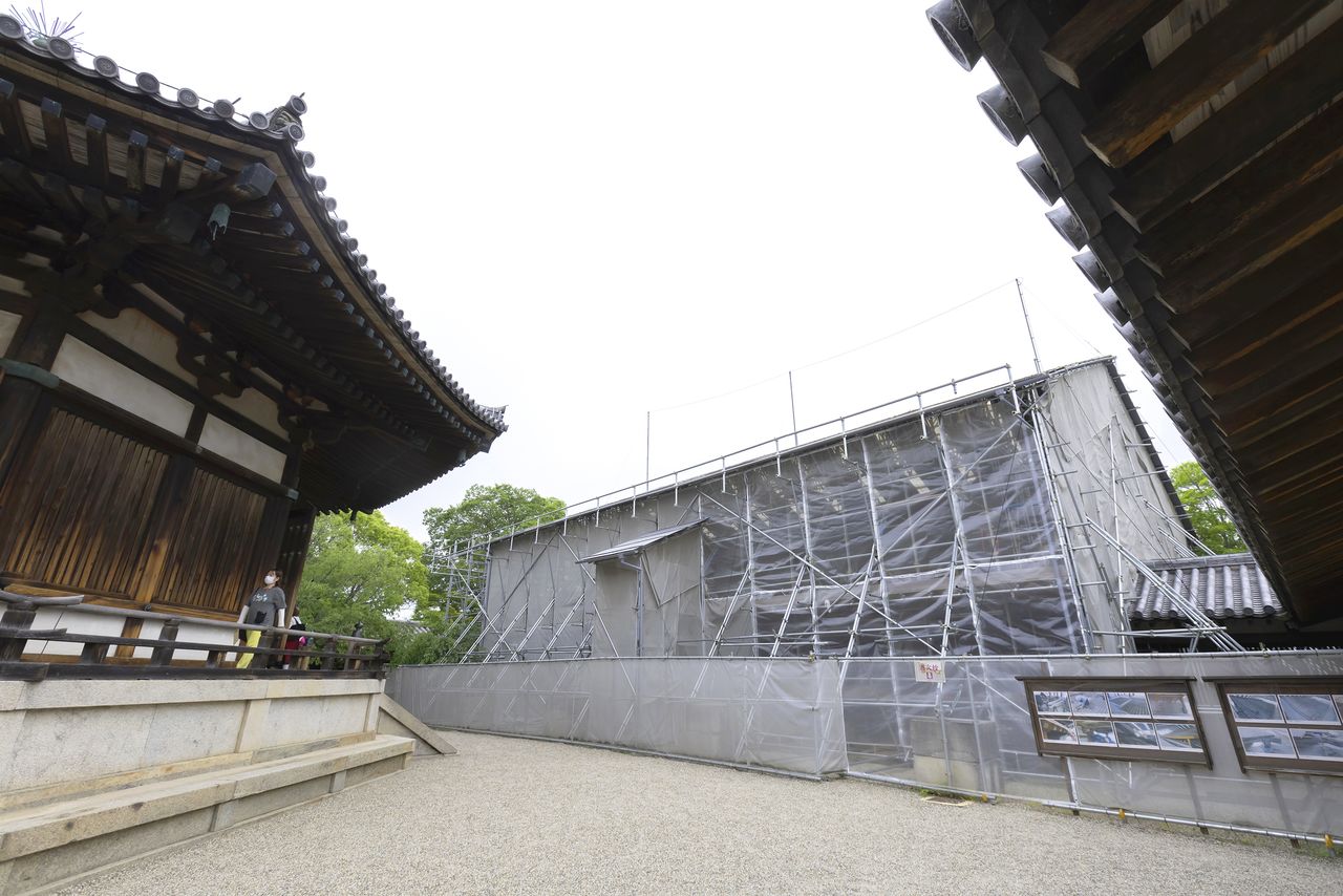 The Tō-in Raidō prayer hall, next to the Yumedono, is shrouded for restoration work. (© Kinoshita Kiyotaka)