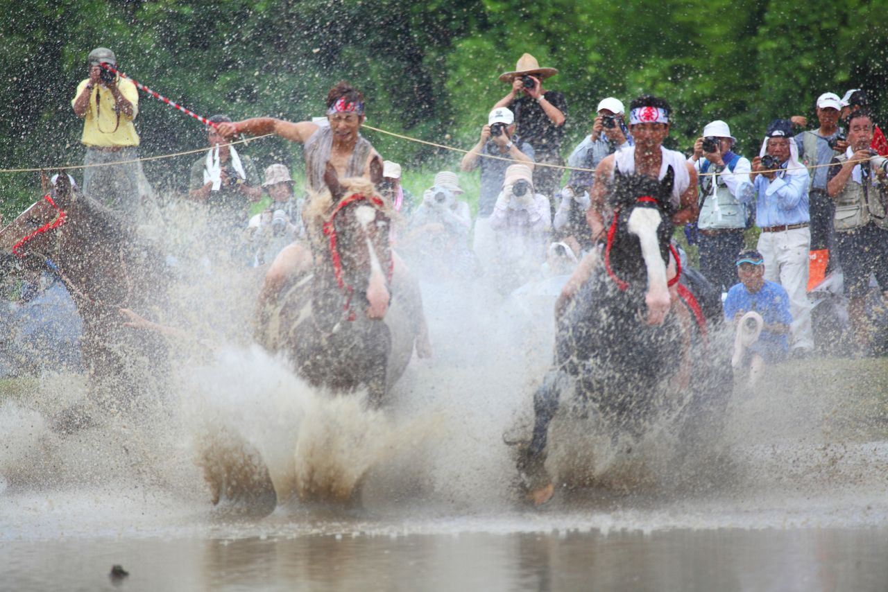 The umaire ritual features sturdy farm horses racing through a flooded rice paddy. (© Haga Library)