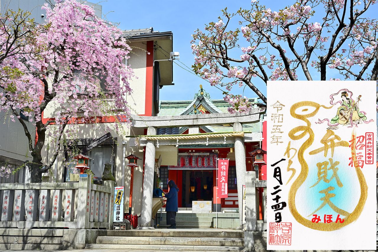 The sacred Aizome cherry tree at Yoshiwara Jinja and the Yoshiwara Benzaiten goshuin designed by Kichiya. (© Kichiya)