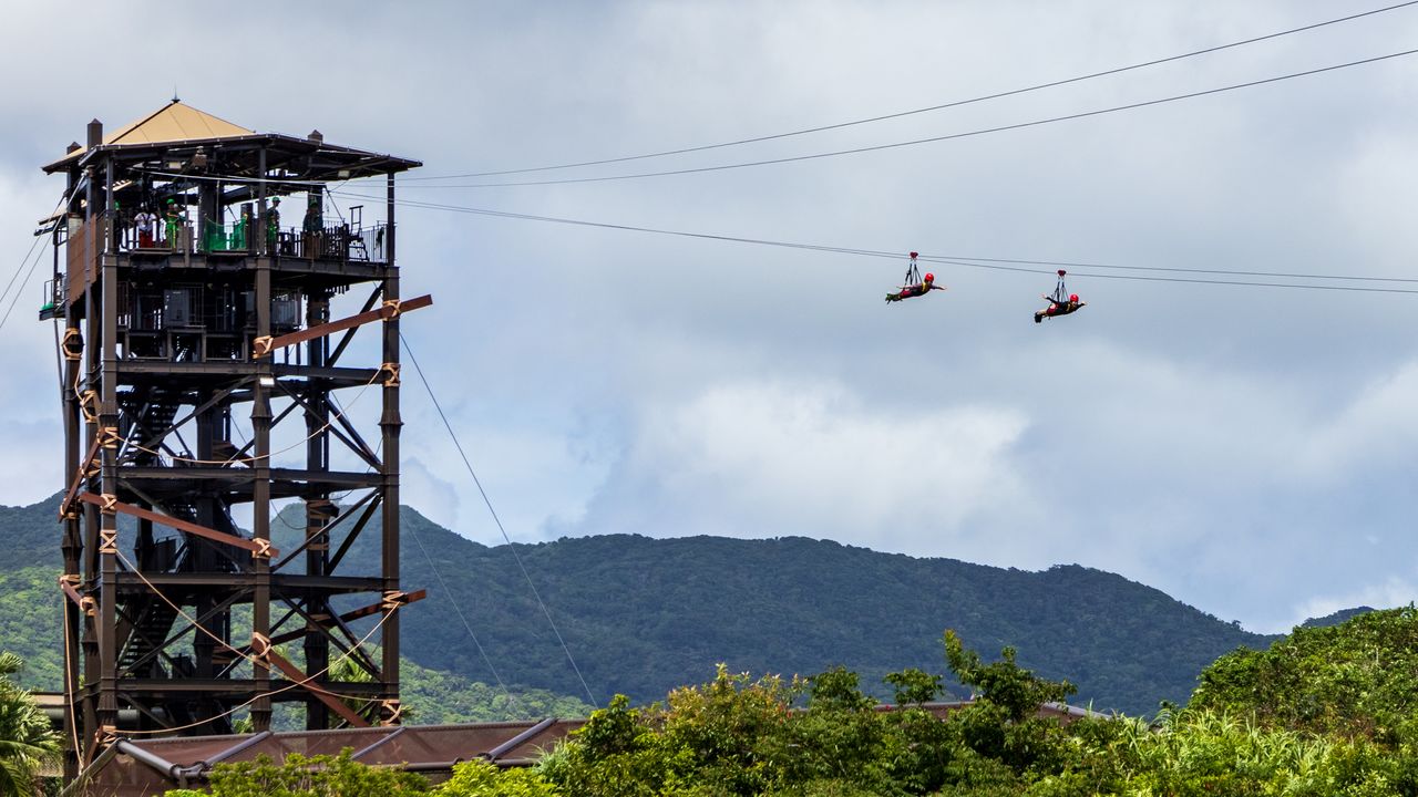 Soar through the sky like a bird over the jungle. (© Nippon.com)