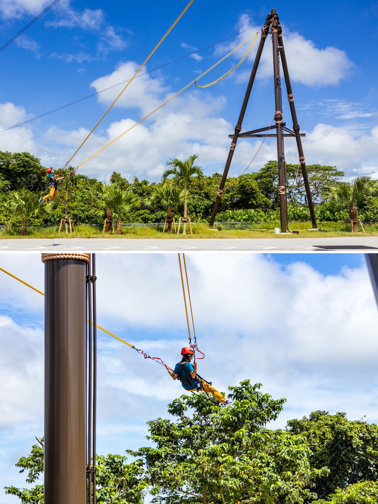 Take the plunge into the forest from a massive launch tower. (© Nippon.com)