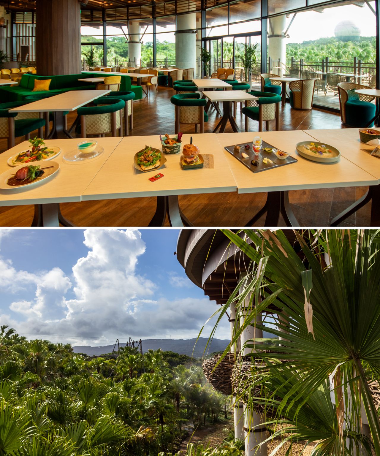 Interior of Panorama Dining (top); the bird’s nest-style seating visible on the right offers views over the jungle. (© Nippon.com)