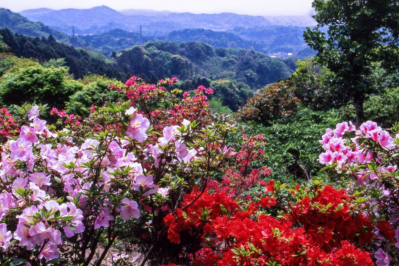 Ten’en Pass in early summer. (© Harada Hiroshi)