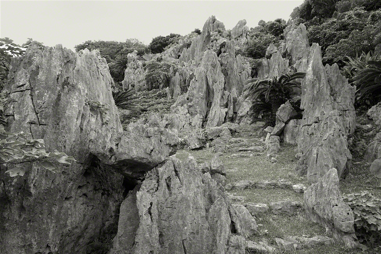 Clusters of limestone stand like forests of stone. (© Ōsaka Hiroshi)