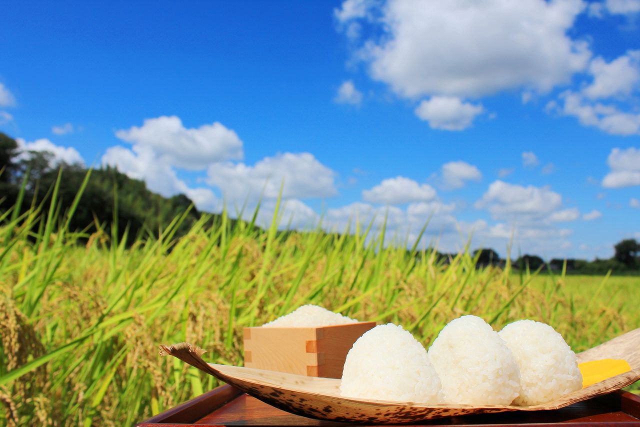 The origin of Labor Thanksgiving Day lies in a harvest ritual. (© Pixta)