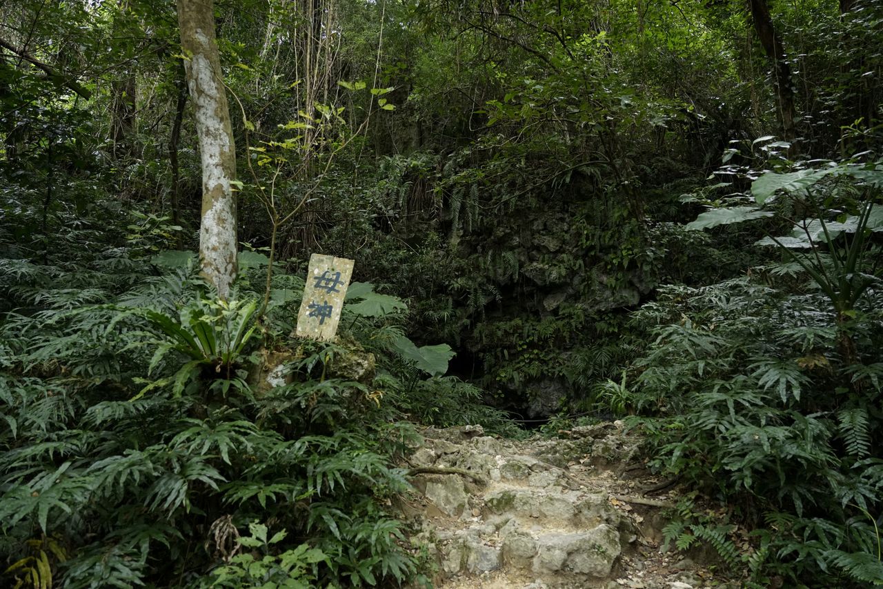 The entrance to the Inagu or “female” cave. Visitors are not allowed to enter the interior of the cave, notable for its mammiform stalactites, because of the risk of collapse. (© Ōsaka Hiroshi)