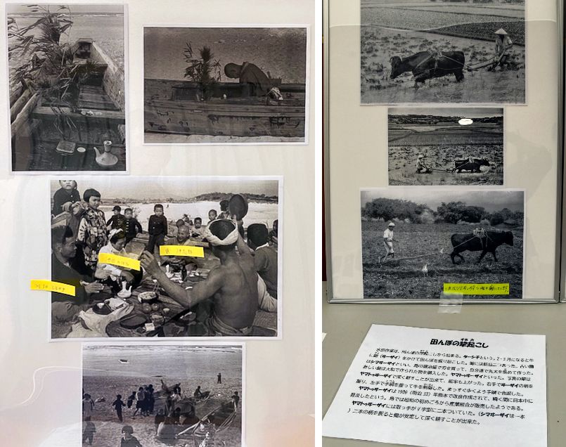 Left: Stick-on labels identify some of the people in this photo (courtesy Wadomari Board of Education). Right: Visitors were also a good source of information (© Sakae Makiko).