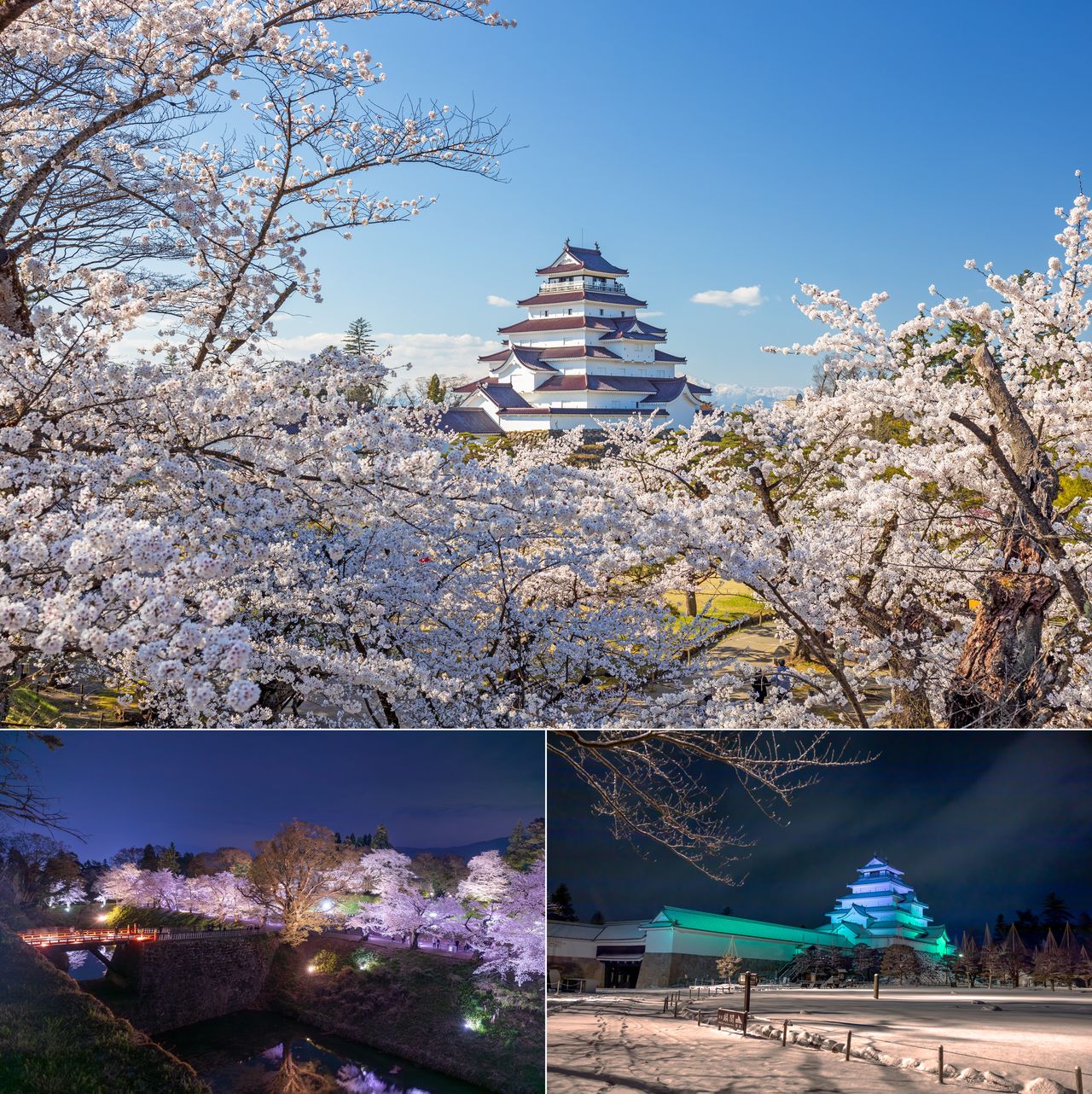 In spring, close to 1,000 cherry trees bloom. The grounds are illuminated in the evenings, and seasonal light shows take place. (© Aizu-Wakamatsu Tourism Bureau)