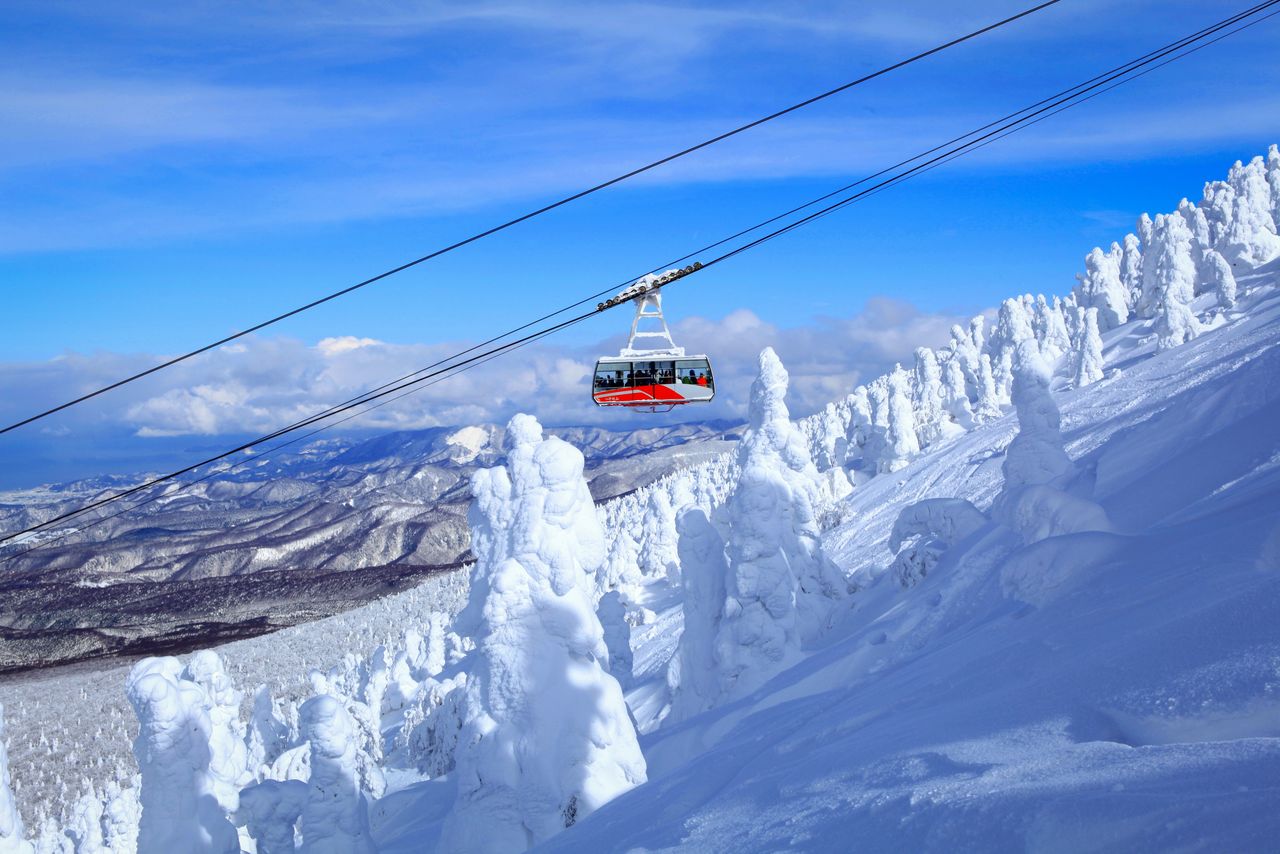 The Hakkōda Ropeway glides past strangely shaped juhyō, trees transformed into alpine creatures by deposits of snow and ice. (Courtesy Tōhoku Tourism Promotion Organization)