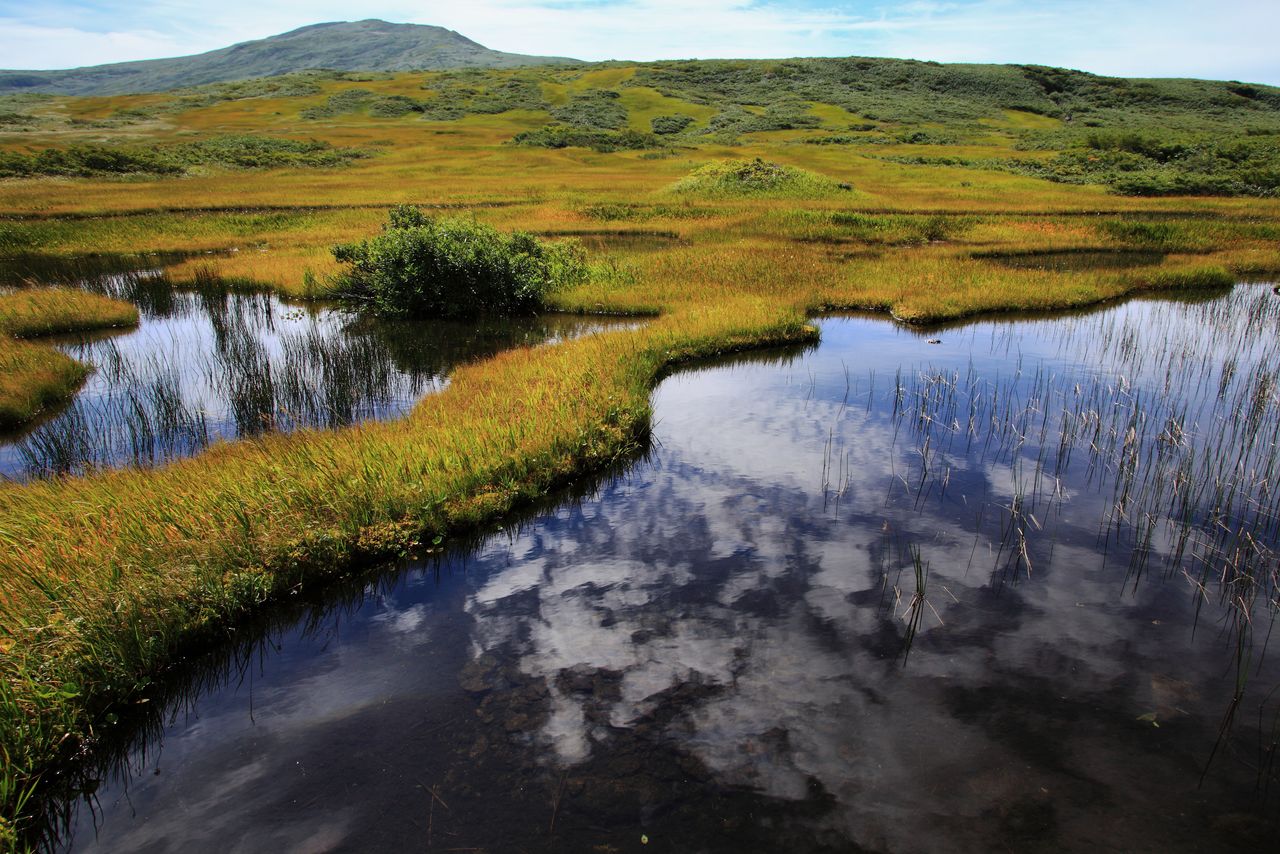 The Midagahara wetlands at the eighth station of Mount Gassan. (© Pixta)
