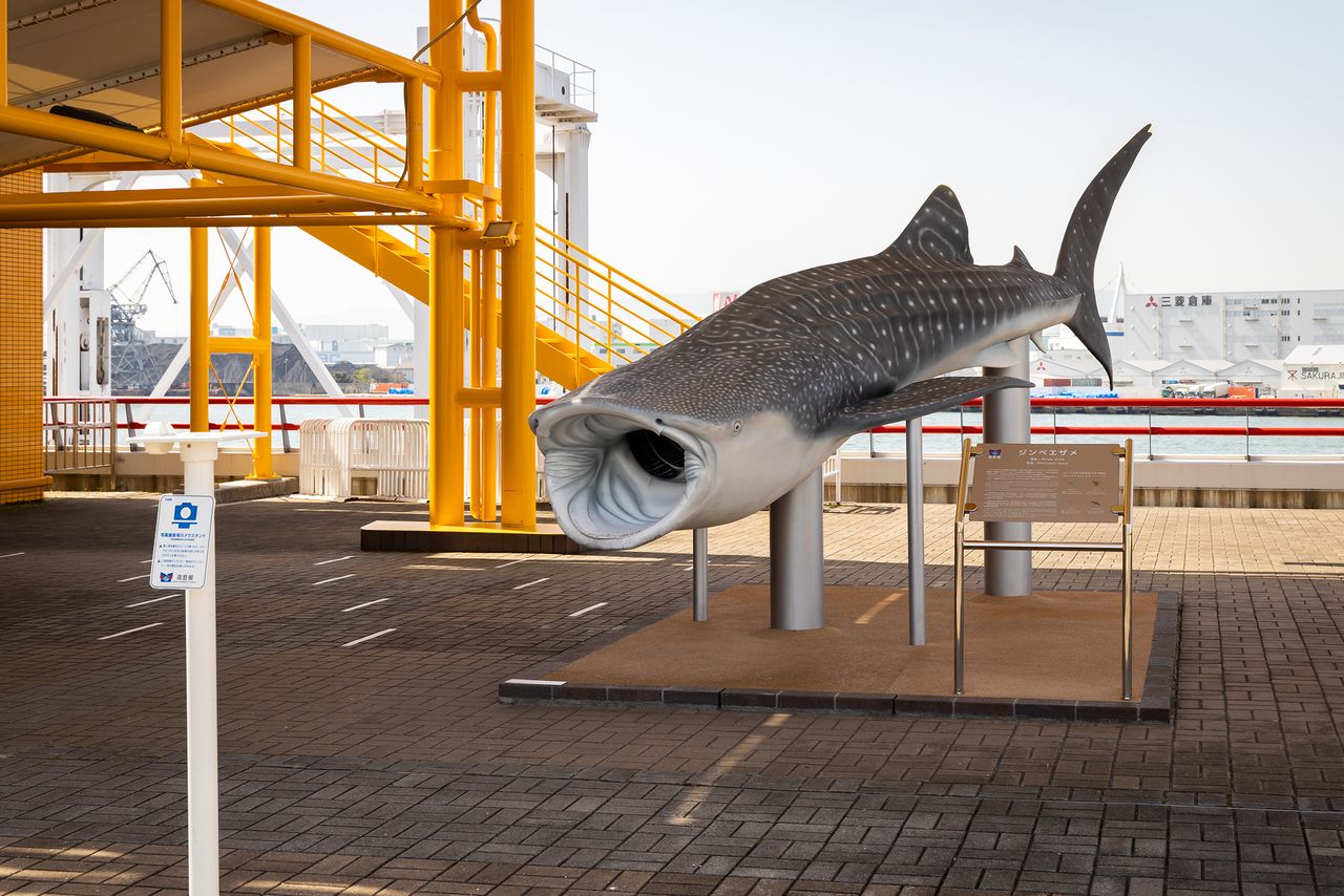 A full-scale model of a whale shark displayed on a landing near the entrance.