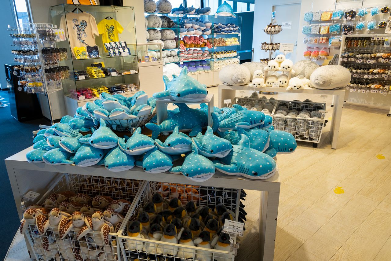 The official shop on the third floor sells exclusive Kaiyūkan souvenirs, including soft toys and stationery.
