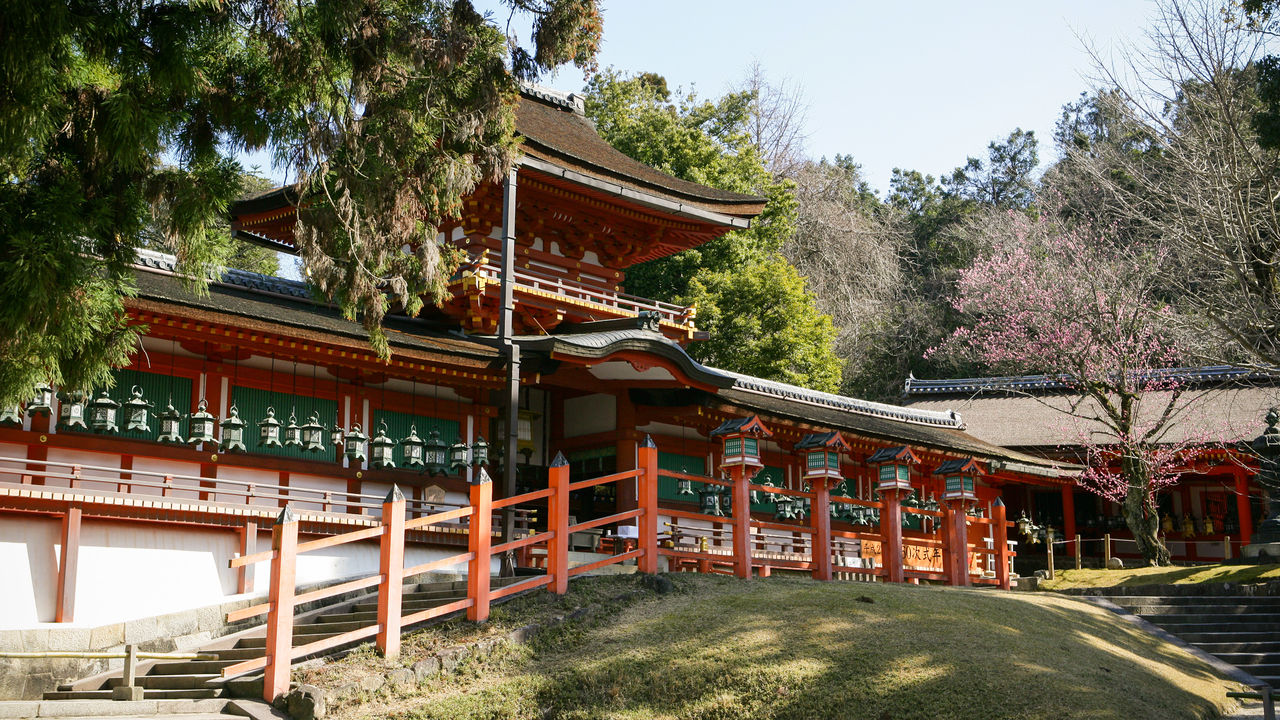 Nara,tourism,World Heritage,shrine,Shrines and Temples.