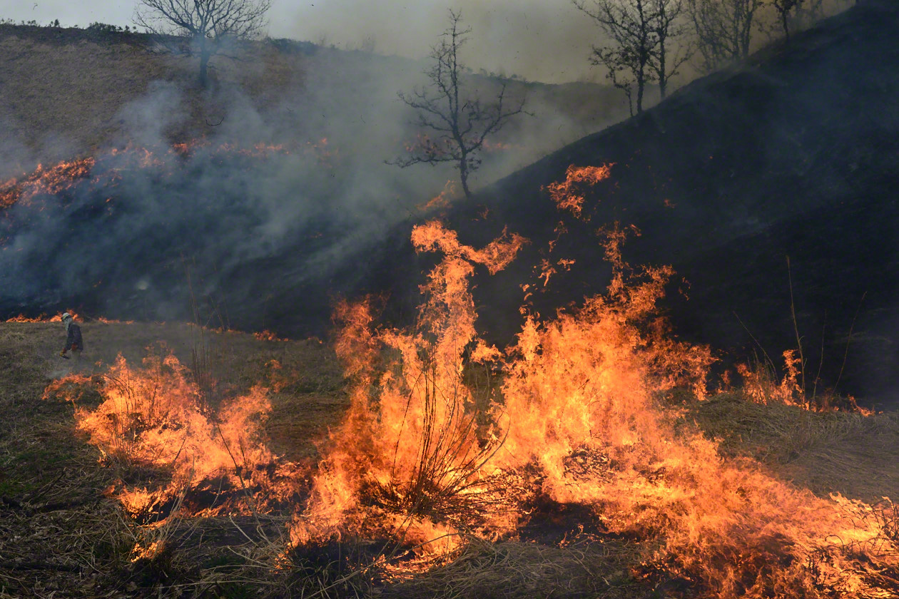 Controlled burning of dried grass in early spring is an important task to maintain healthy fields.