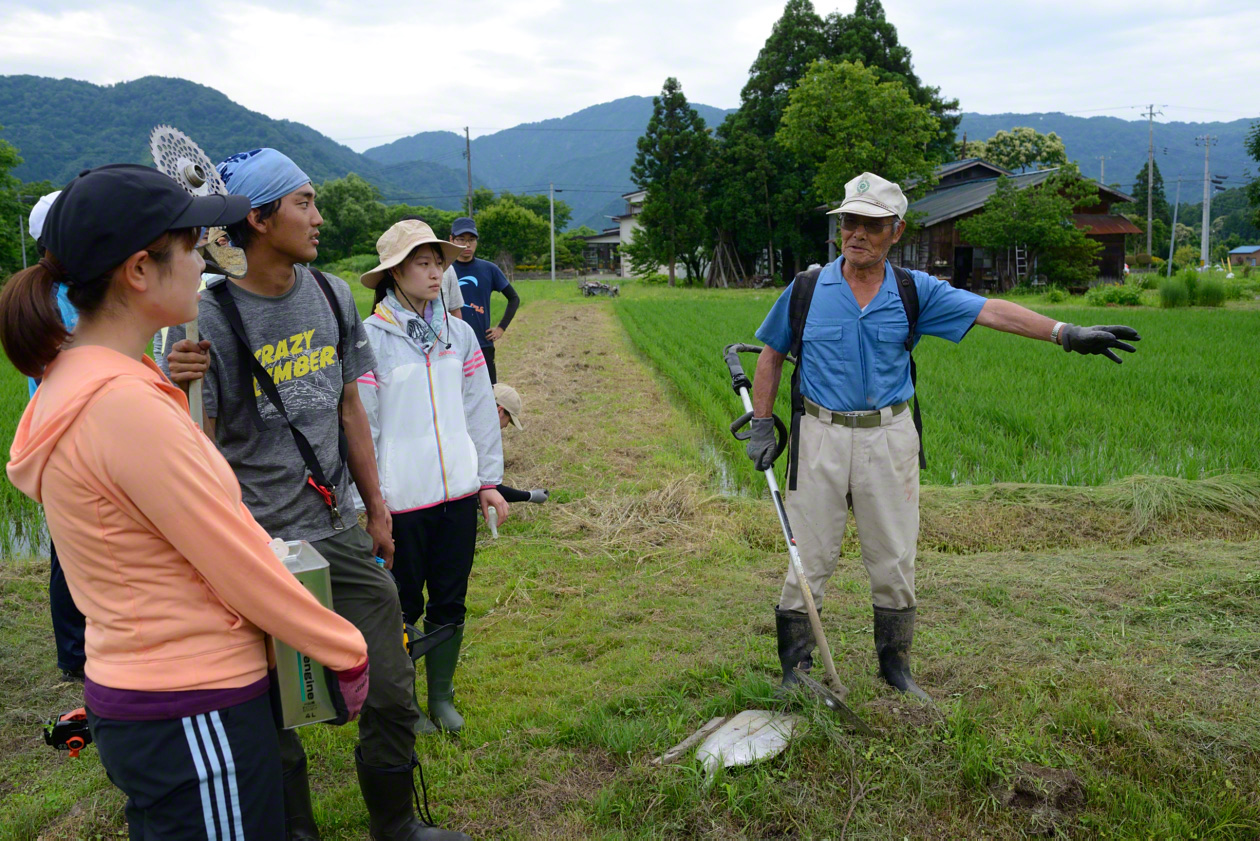 A farmer teaches young people how to manage rice paddies.
