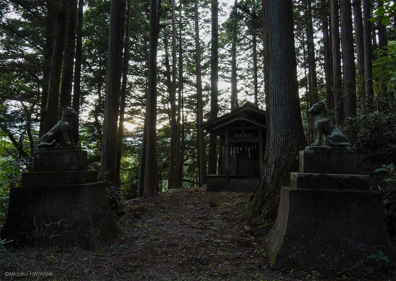 Wolves stand guard at a small Shintō shrine in the Chichibu mountains near the headwaters of the Arakawa. Some 20 such shrines dedicated to wolves dot the area and attract parishioners seeking to ward off calamities like fire and theft, as well as to safeguard crops against pests like deer and wild boar.