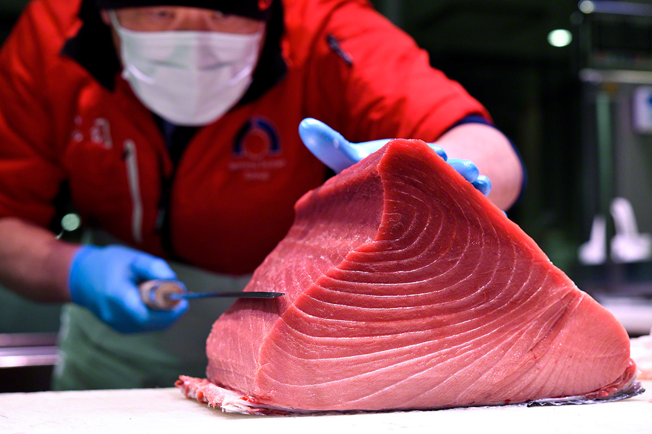 The prized hara-kami cut of the tuna. The white fat is glorious to behold. (&copy;&nbsp;Uzawa Akihiko)