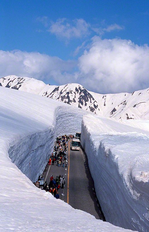 The Tateyama Kurobe Alpine Route opens every year in mid-April. Vehicles travel along a road with 20-meter walls of snow on either side. Until the beginning of June, one lane in a 500-meter section of the road is opened to pedestrians, so they can get a feel for the scale of the snowy walls around them. The region has recently become a popular destination for tourists from China, Taiwan, and South Korea.