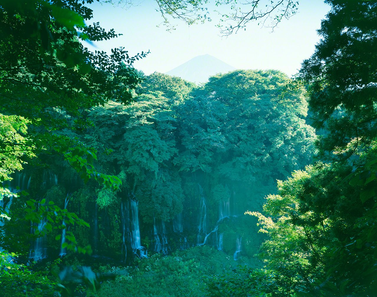 Shiraitonotaki—waterfalls thread white water through the forest.