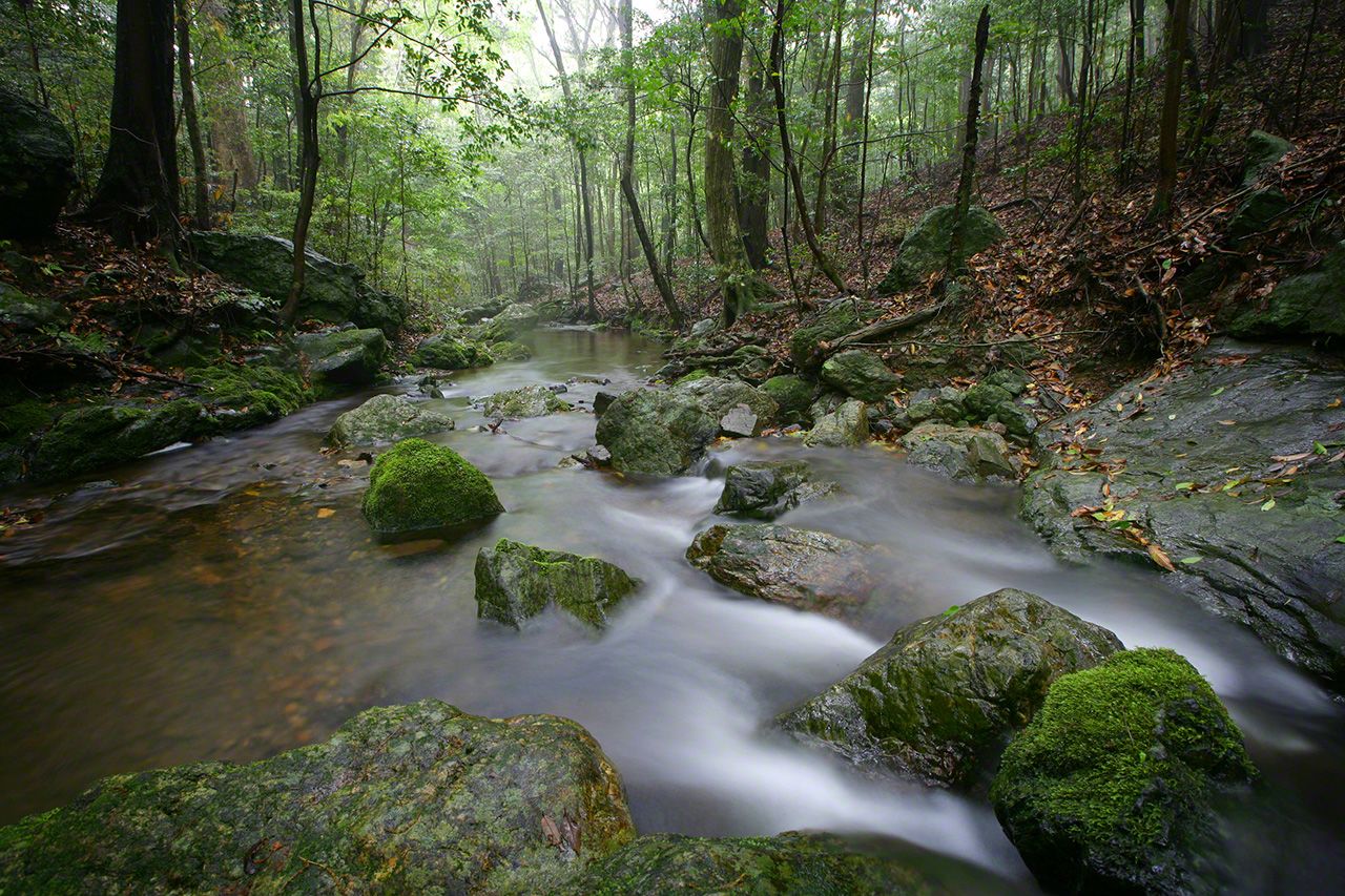 May 5<br>Upstream on the Isuzugawa River, the pure waters flow through forestland belonging to the shrine.