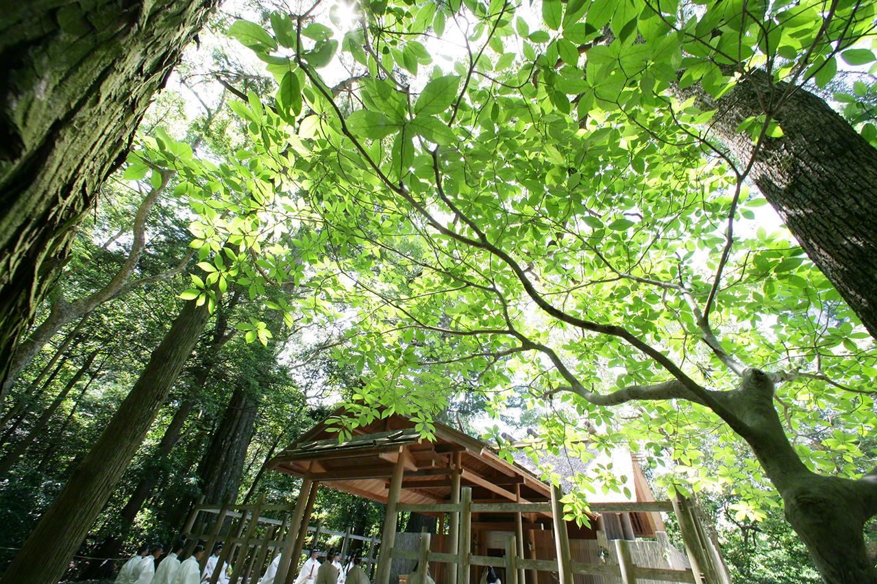 June 16<br>At the Tsukinami-sai, prayers are said for the prosperity of the imperial family, the safety of the nation, abundant harvests, and national peace.
