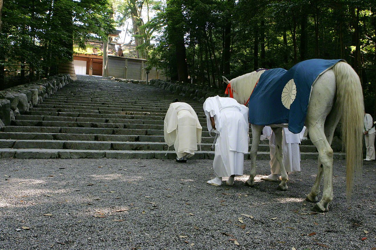 July 11<br>Sacred horses have been a fixture in many Shinto shrines since ancient times. On the first, eleventh, and twenty-first days of each month, the sacred white horse joins in a procession to the bottom of the stone steps before the main shrine building and bows its head.