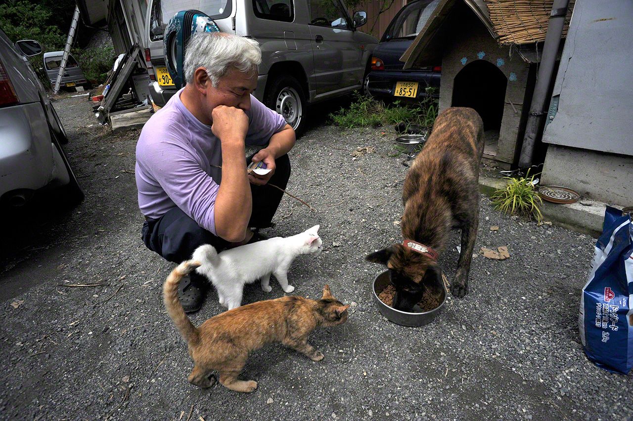 The cats are now good friends with Ishimatsu the dog, who has lived with Matsumura since before they arrived.