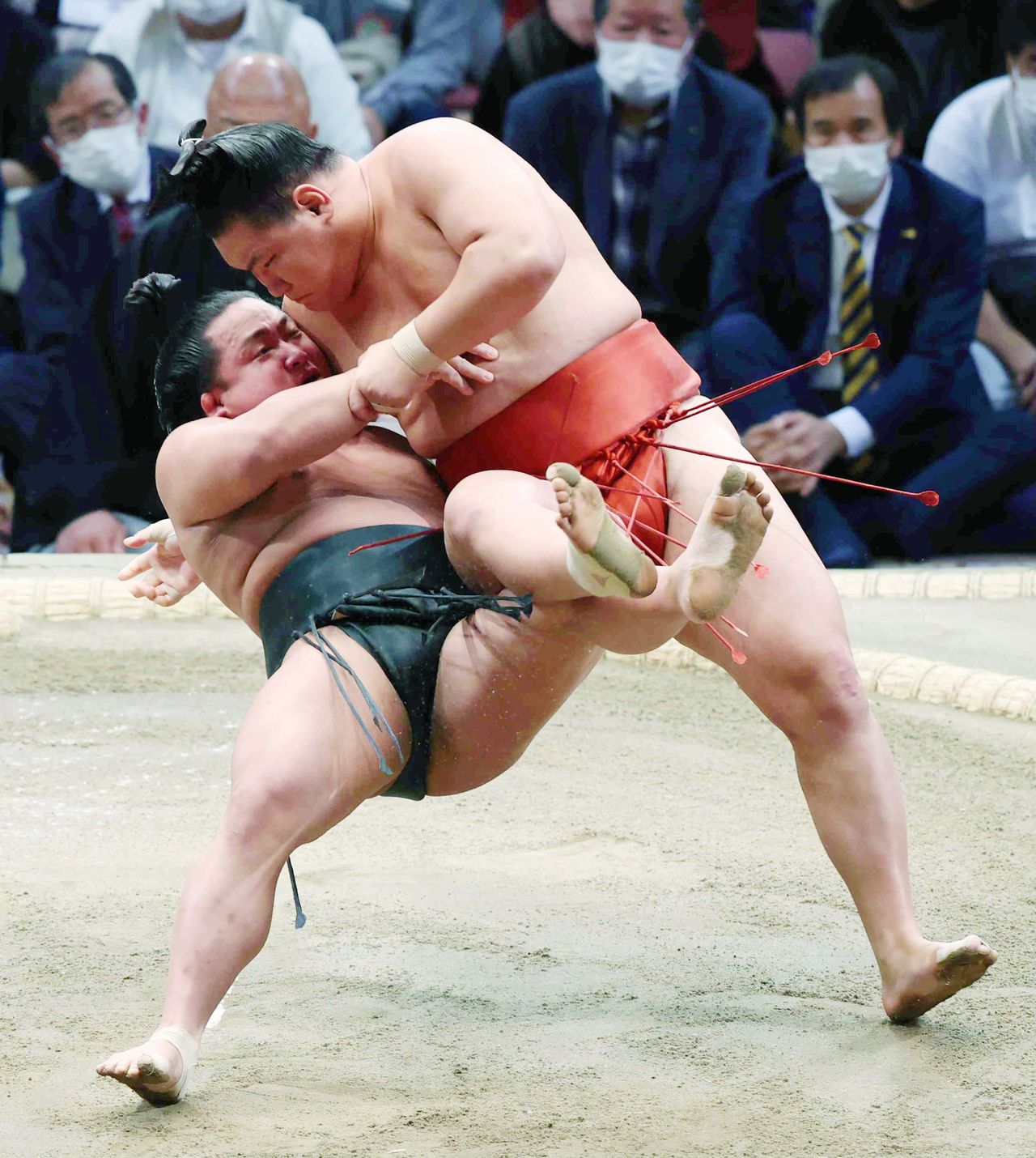 Sekiwake Hōshōryū (23), at right, earned the Technique Prize at the November 2022 basho with a repertoire of moves including the kawazugake leg entanglement throw. With spectacular lower body strength like that of his uncle, the former yokozuna Asashōryū, he is also a prime contender for promotion to ōzeki. (© Jiji)