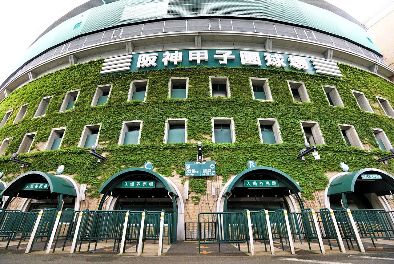 Ivy is considered the symbol of Kōshien Stadium. (© Jiji)
