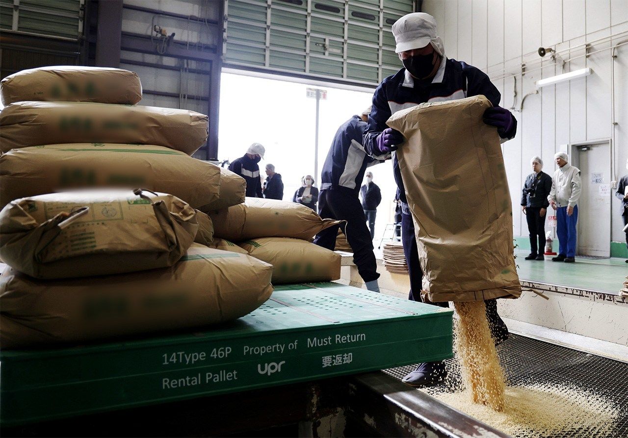 The government’s stockpiled rice being removed from sacks at a rice milling plant in March 2025. (Jiji)