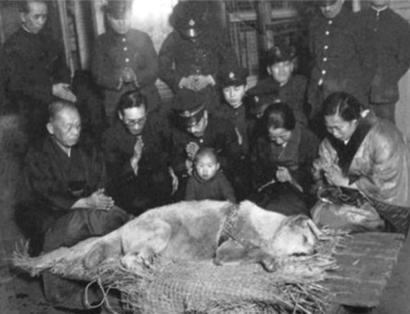 Members of the Ueno family hold their hands in prayer before the body of Hachikō at Shibuya Station in March 1935.