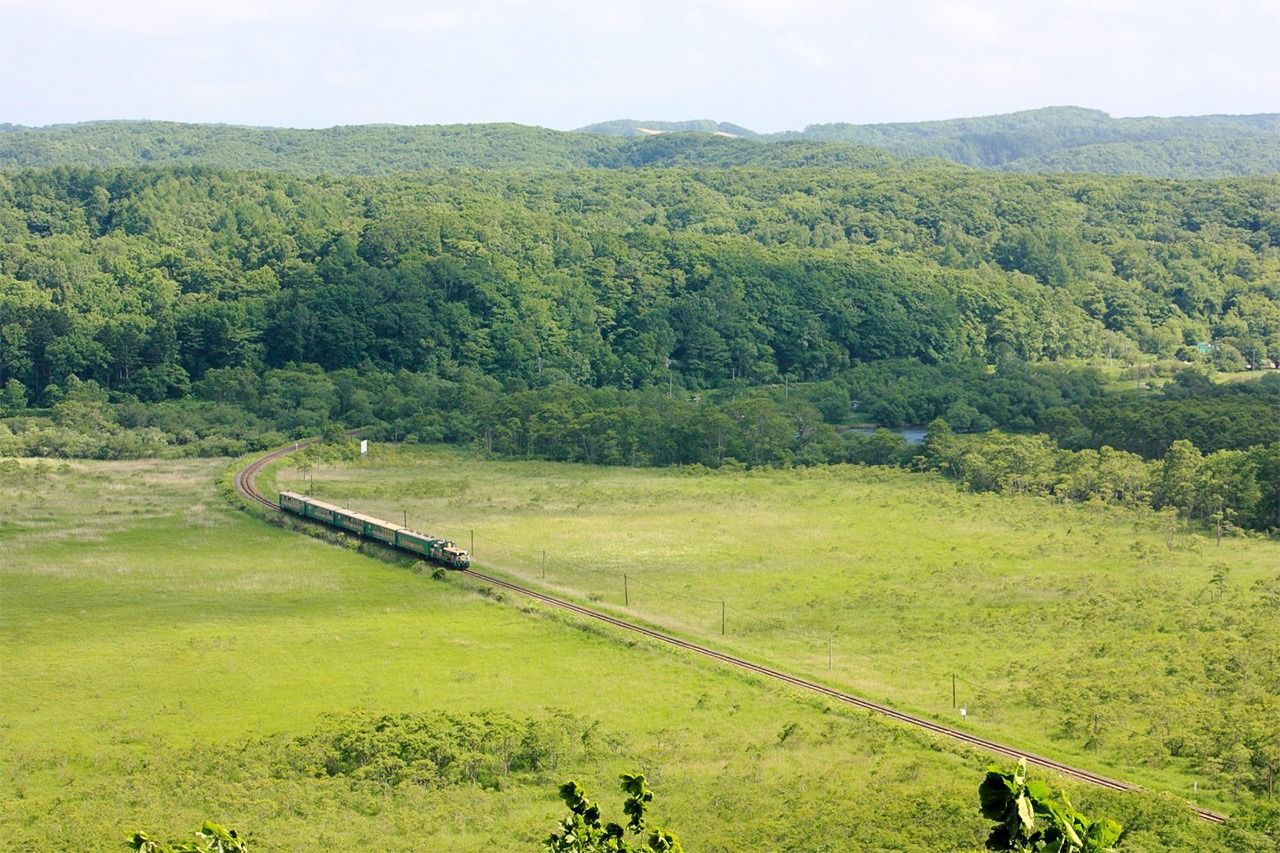 A steam locomotive running through the Kushiro Marsh.