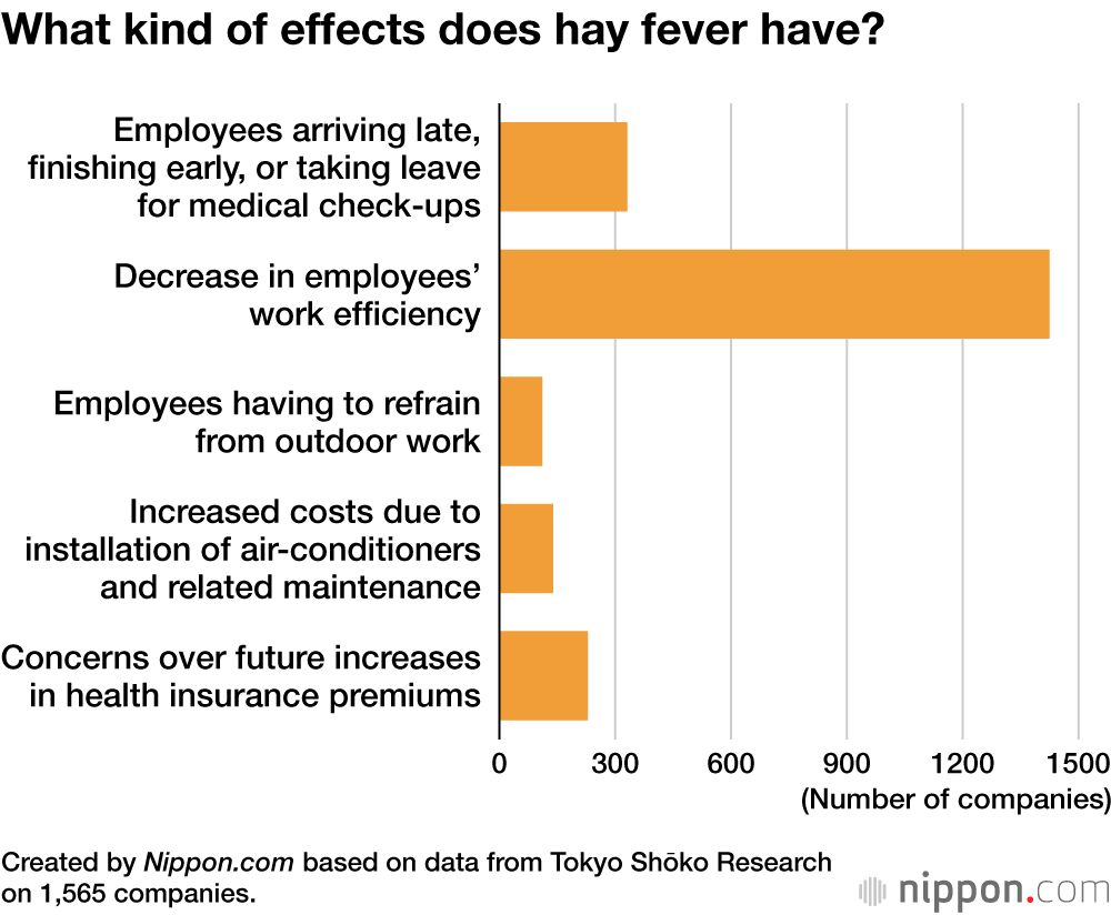 What kind of effects does hay fever have?