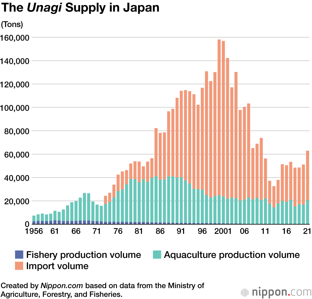 The Unagi Supply in Japan