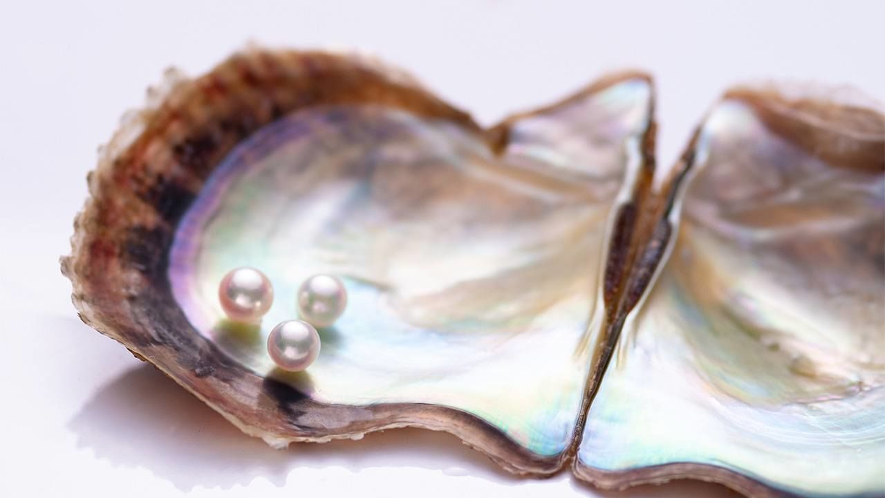 日本の真珠輸出は2023年上半期に急速に回復