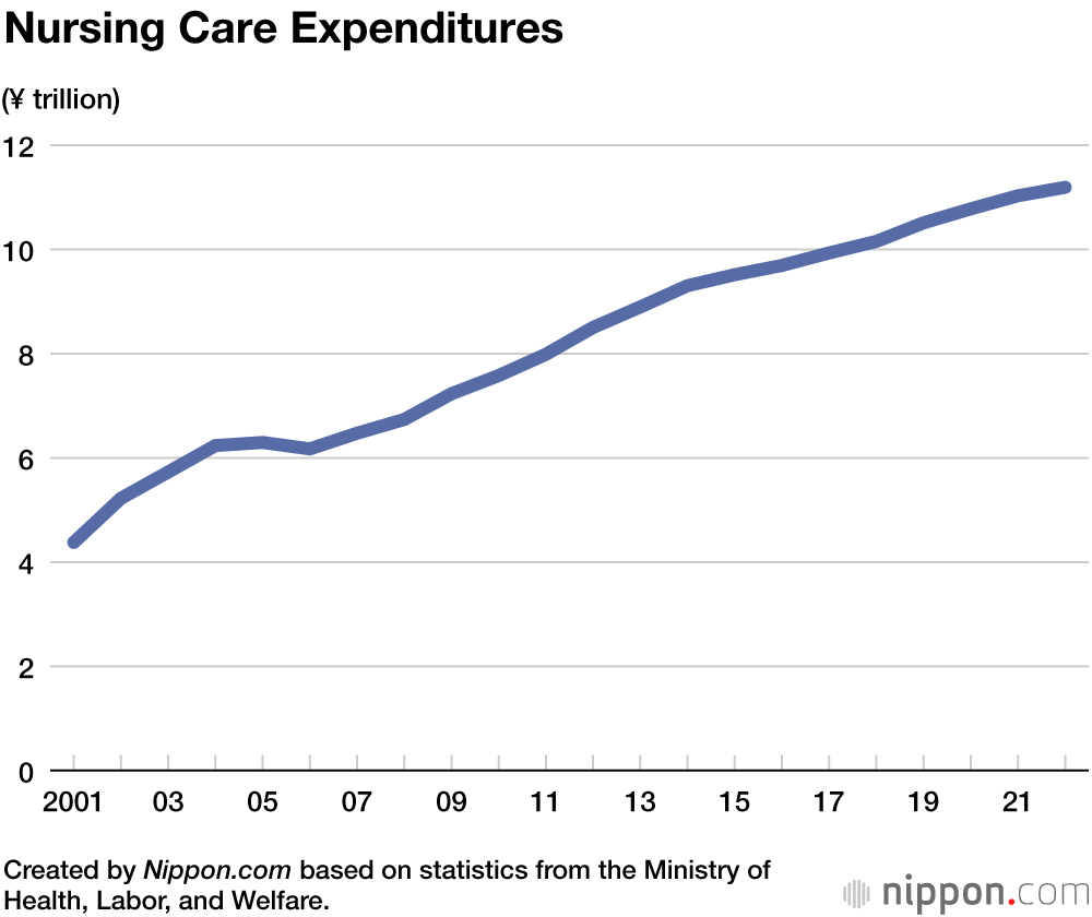 Nursing Care Expenditures