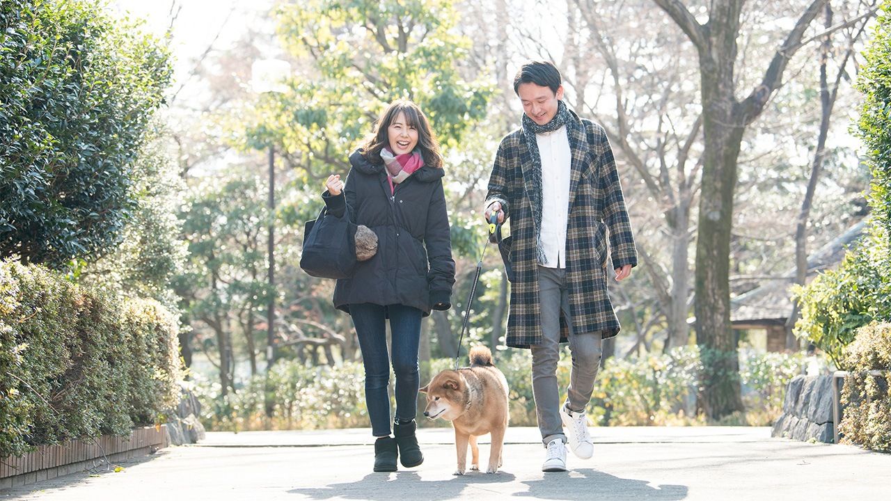毎週の散歩：スマートフォンのせいで日本の若者の外出が増えている？